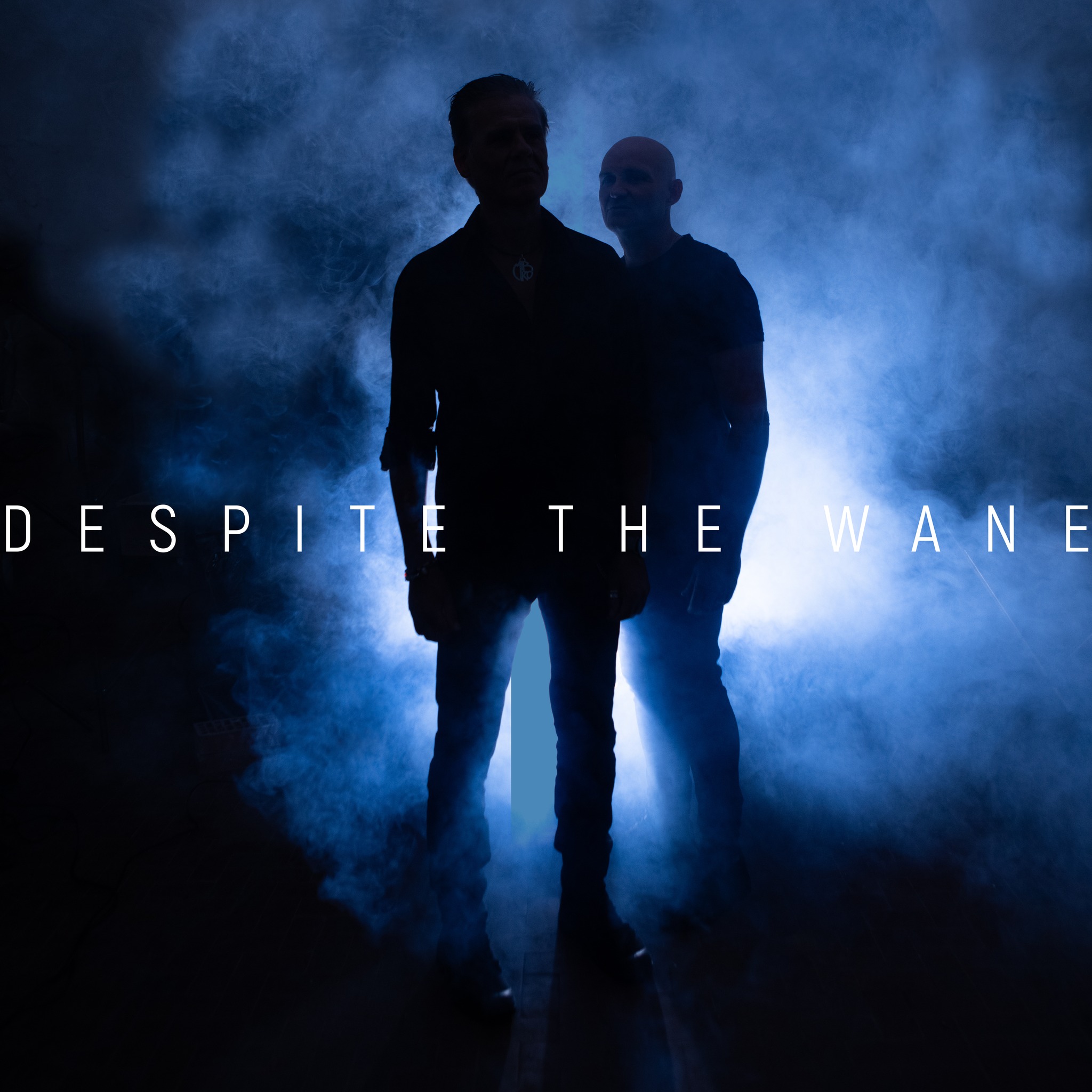 Despite The Wane presenta "The Missteps" (I Made)